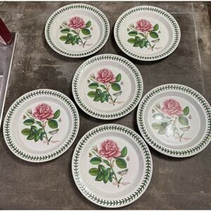 VTG PORTMEIRION BOTANIC GARDEN ROYAL HIGHNESS ROSE 10 1/2” DINNER PLATE SET OF 6
